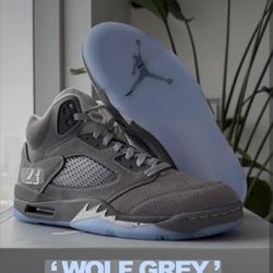 Air Jordan 5 Wolf Grey