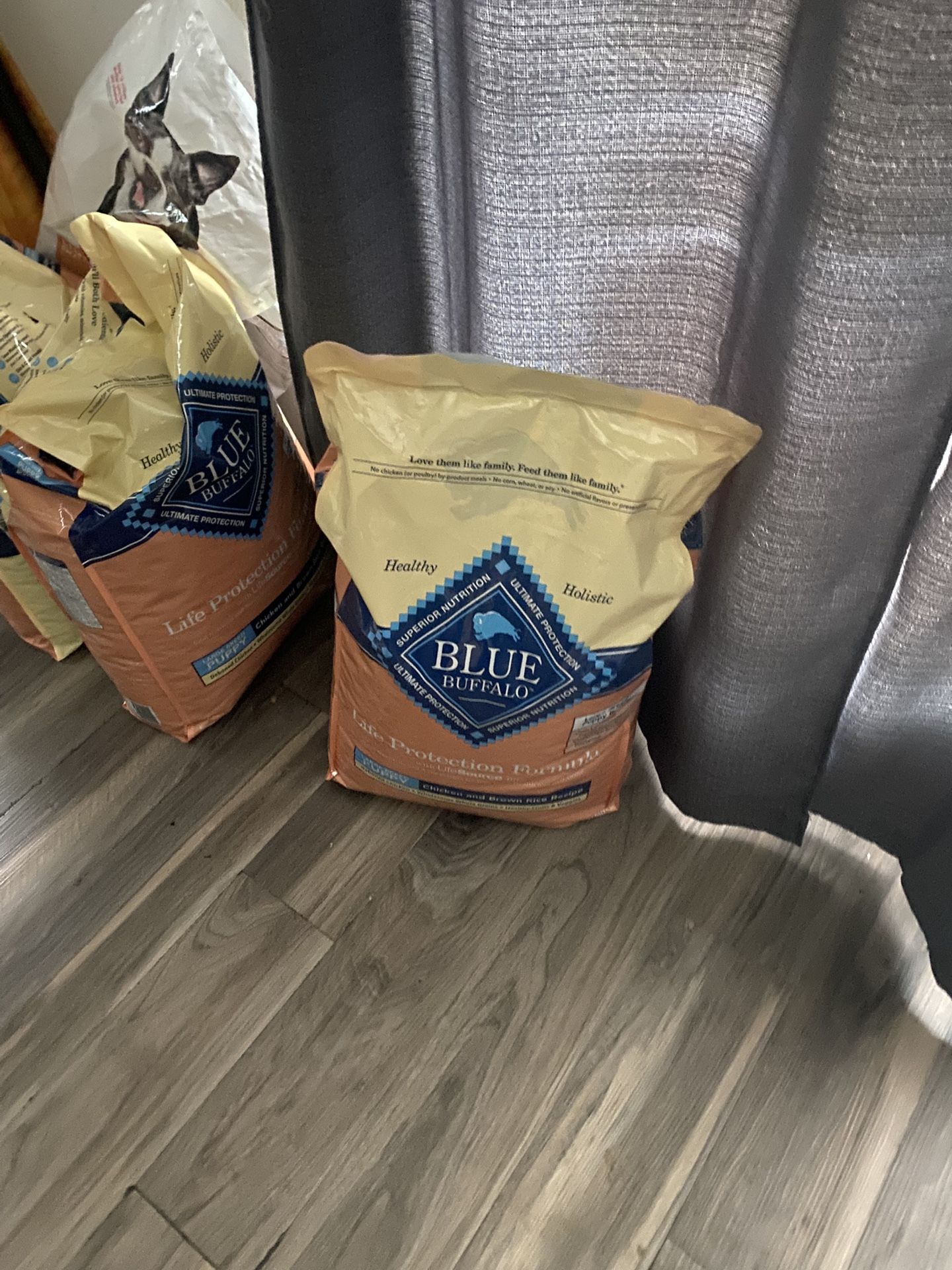 Dog Food