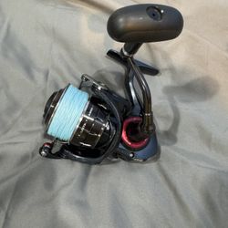 Daiwa Ballistic EX