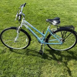 Cannondale Adventure Bike Size L