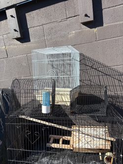 3 birds cages