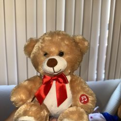 Teddy Bear 