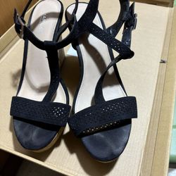 Charles Black Wedge