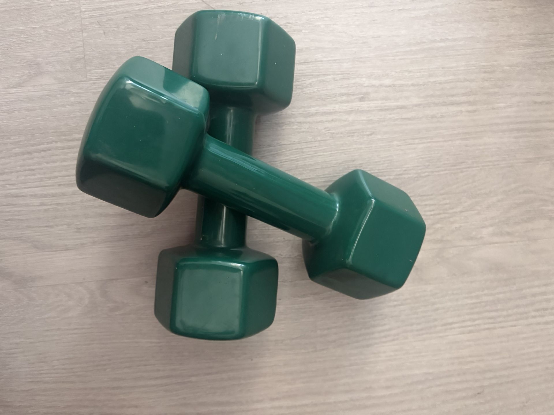13 Lb Free Weights Dumbbell