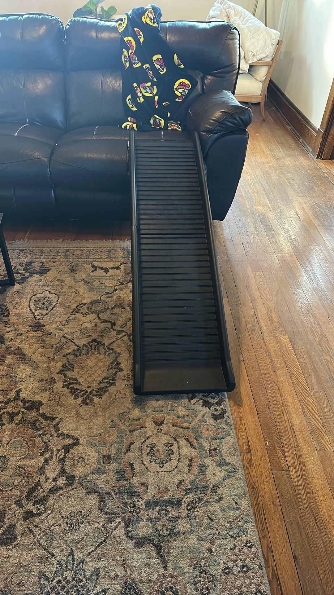 Collapsible Pet Ramp