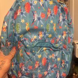 Disneyland Enchanted Tiki Room Backpack