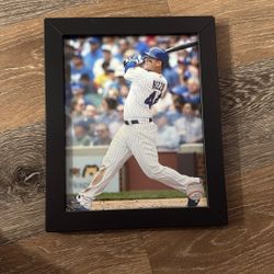 Framed Anthony Rizzo Picture