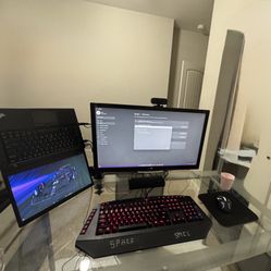 Full office/gaming setup