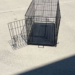 Kennel 