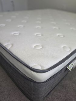 3 Queen Mattresses for free pickup