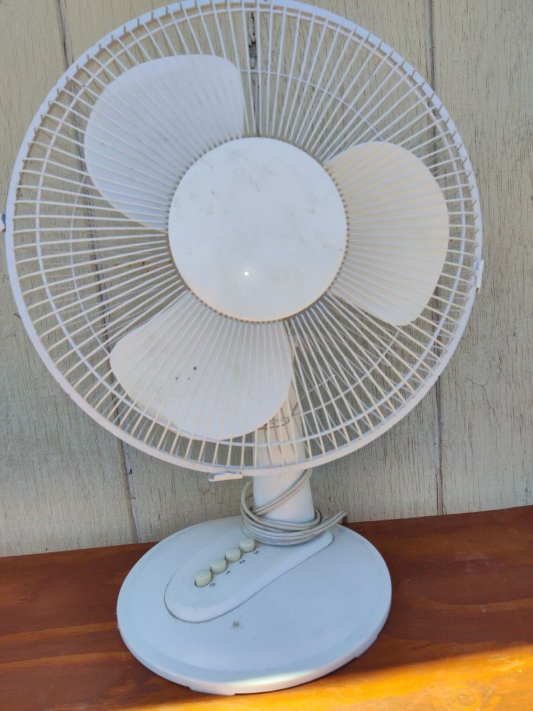 Fan