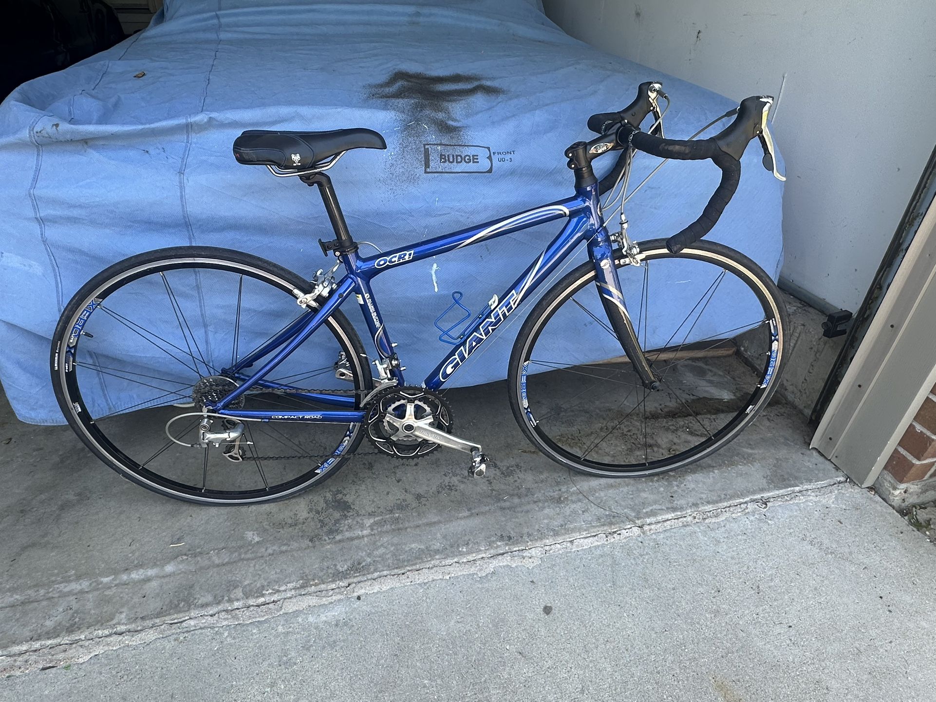 Giant XS Aluminum Road Bike