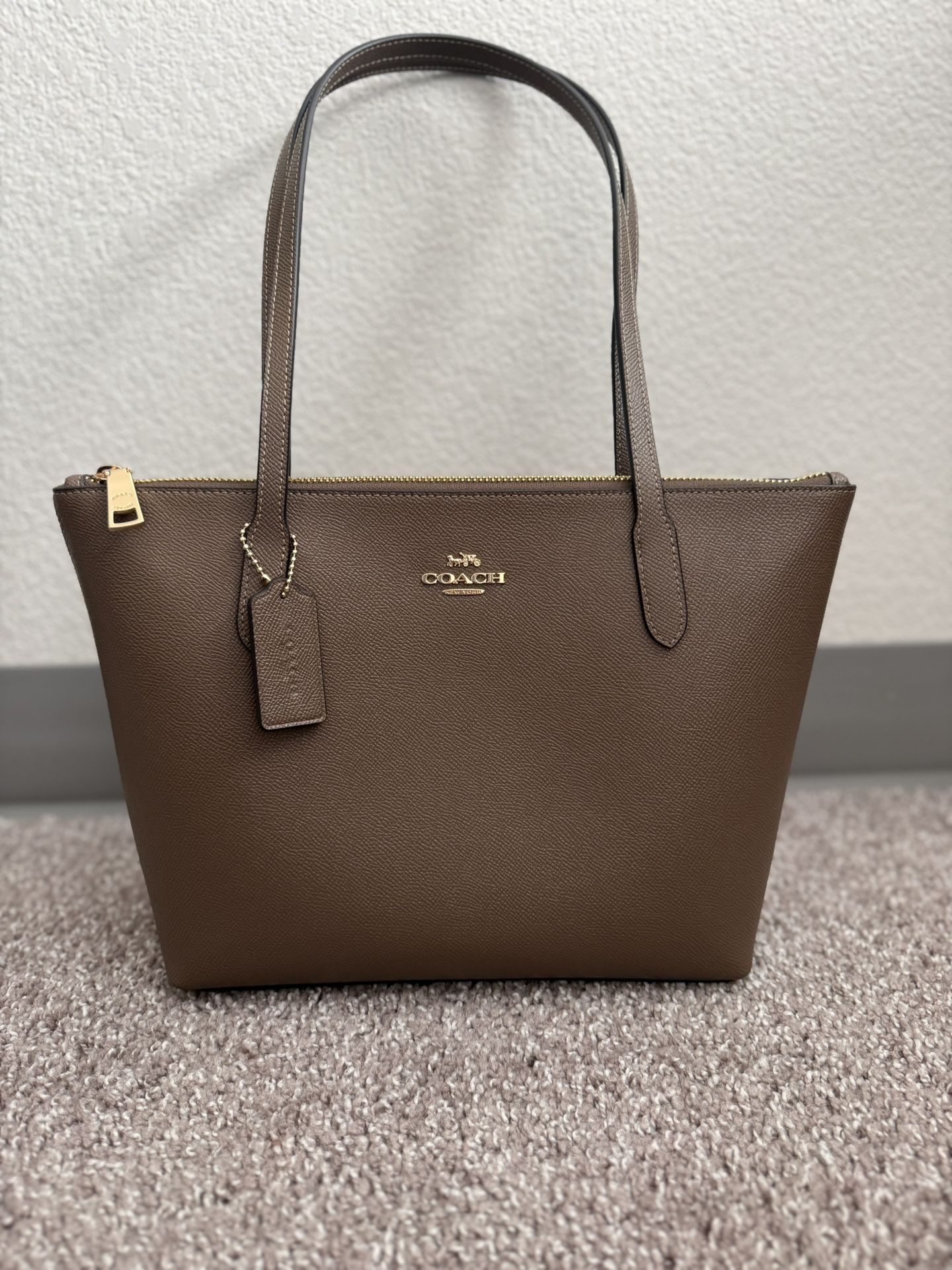 Coach Fiona Zip Tote Bag (Dark Stone)