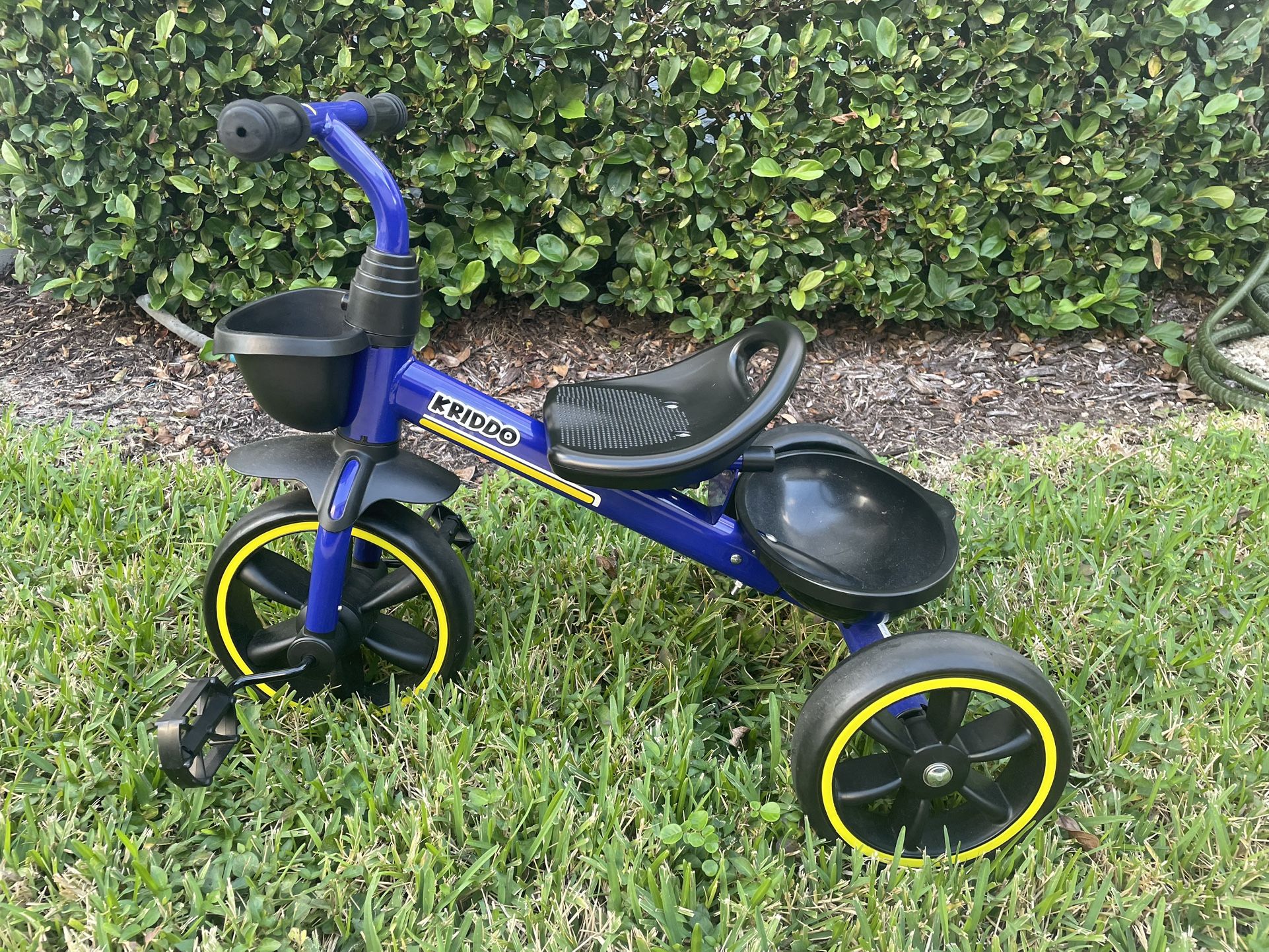 Kriddo Kids Tricycle