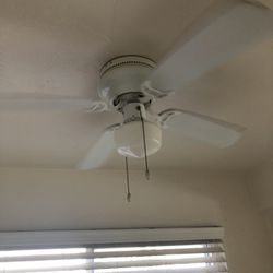 Fan