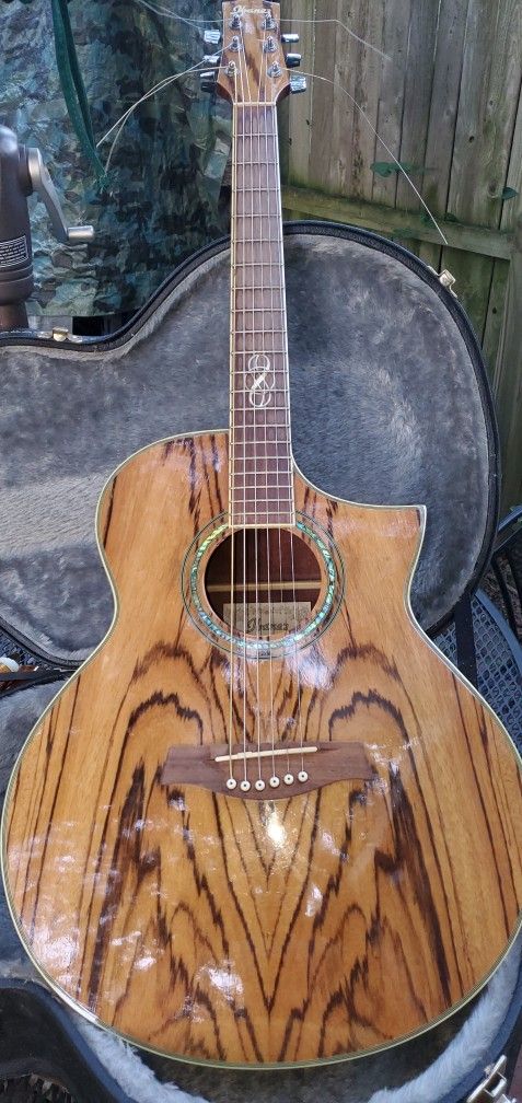 Ibanez Zebra Wood Guitar