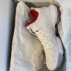 Nike LeBron XVI Low 2019