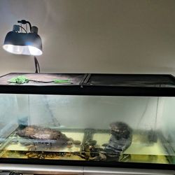 90 Gallon & 20 Gallon Tank MUST GO!!!