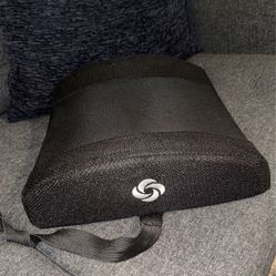 Samsonite Lumbar Support  