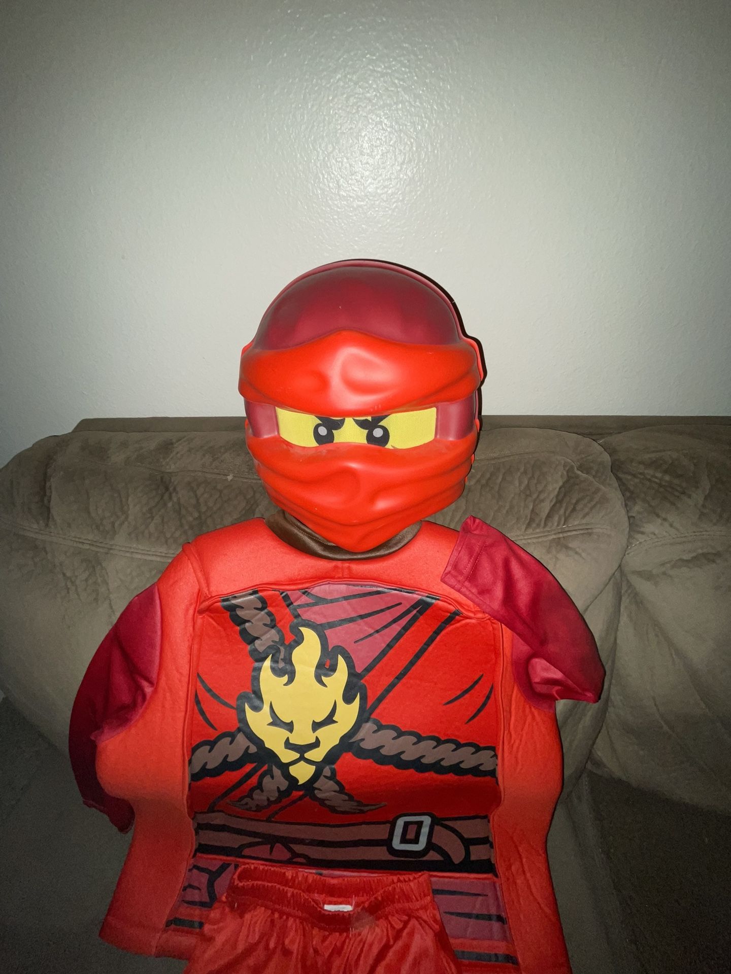 Ninjago Costume