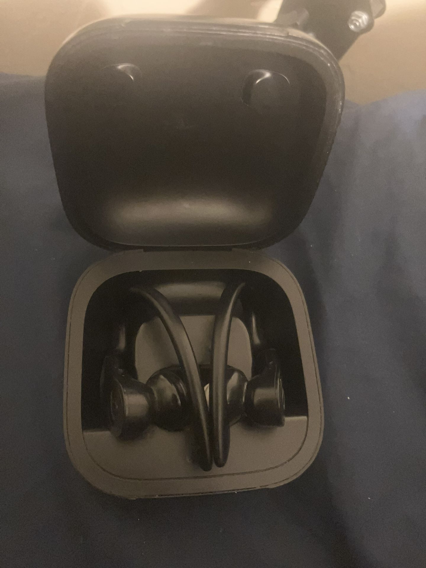 Beats By Dre Powerbeats Pro