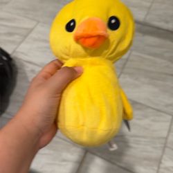 Duck Plushie 