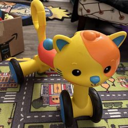 Cat Walking Tricycle 
