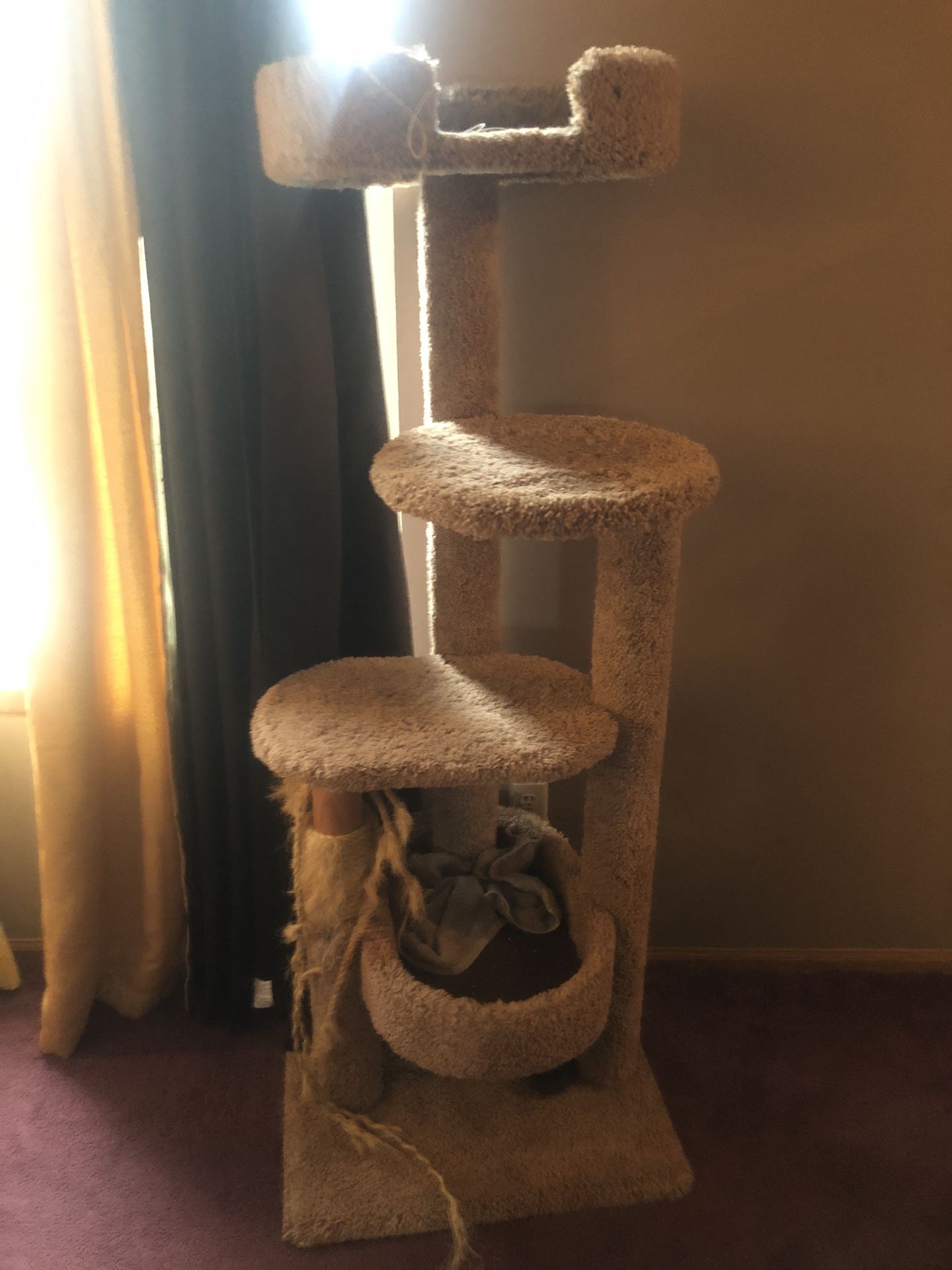 Cat Tree