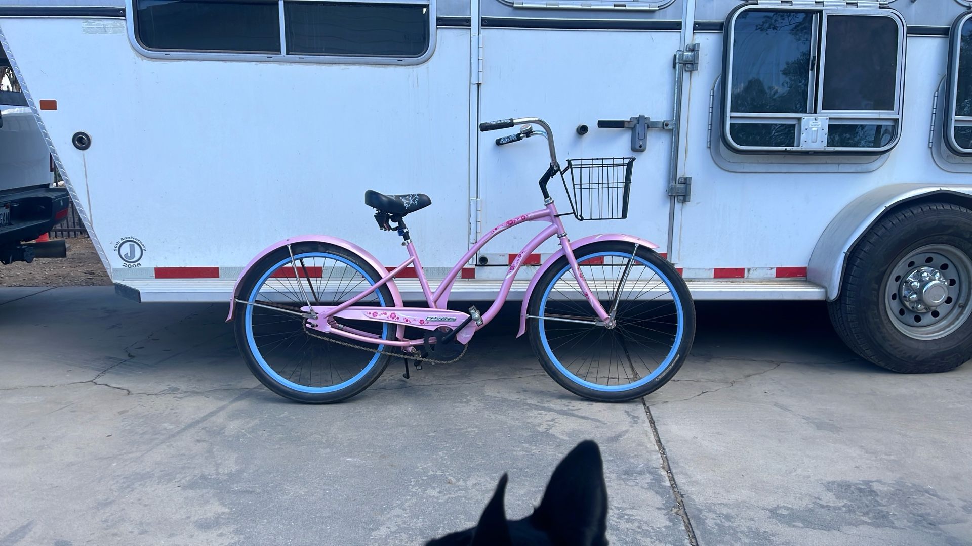ELECTRA brand Single Speed, Coaster Brake Beach Cruiser, Bicycle Ready To Ride