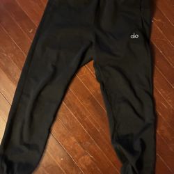 Alo Joggers Size (S)