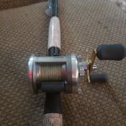 Diawa Swimbait Rod With Shimano Cardiff 300A