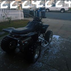 Honda Trx 250