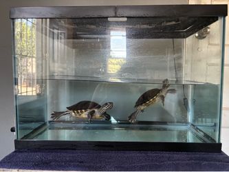 Tank