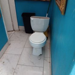 Free Toilet Seat