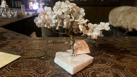 Prosperity tree make an offer
