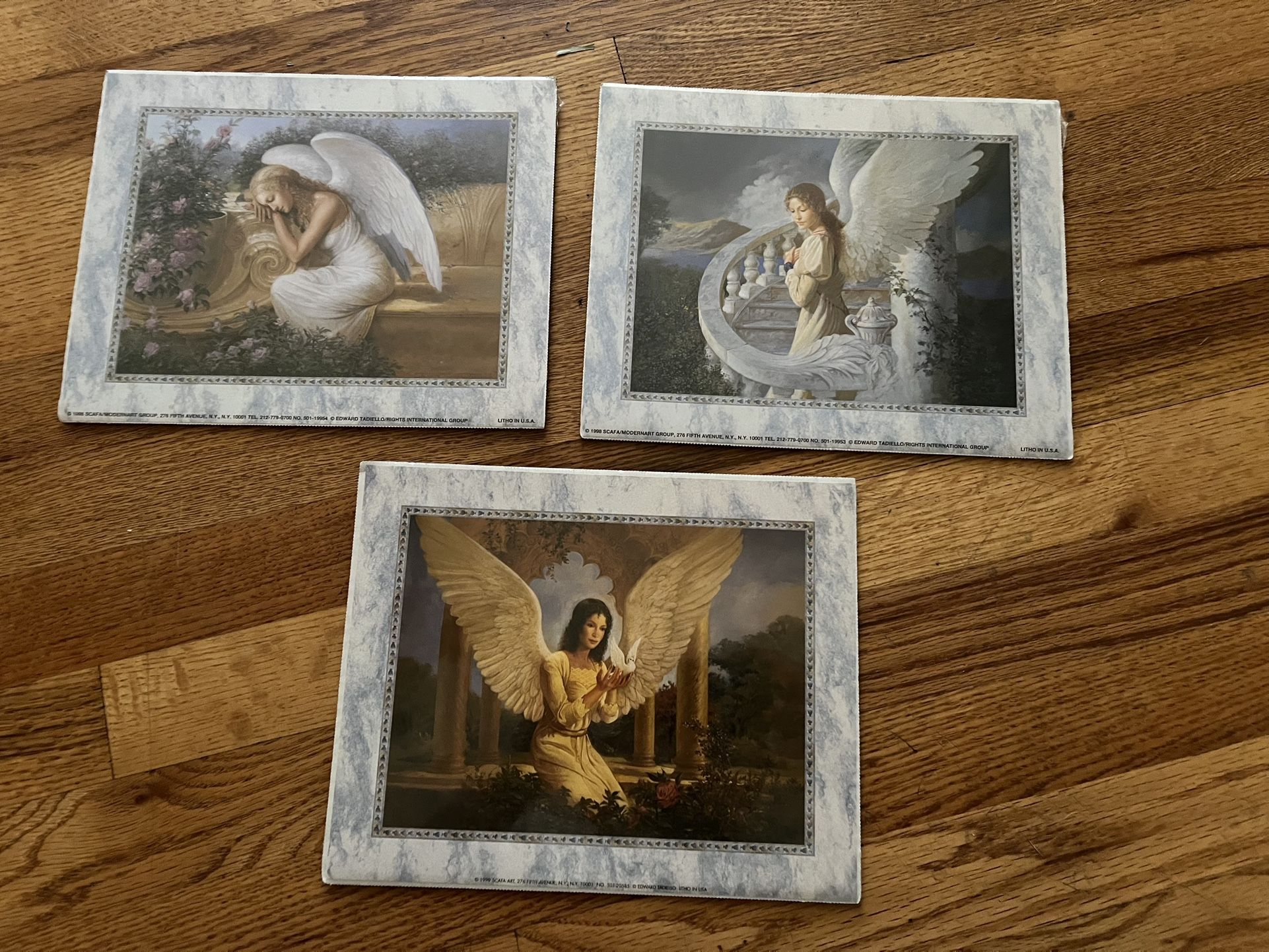 8x10 Angel Photos