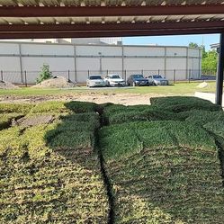 Fresh Sod 