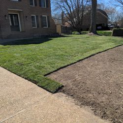 Fresh Cut Sod   Delivered And installed
