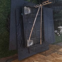 Bird Cage 