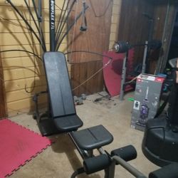 Bowflex XLT