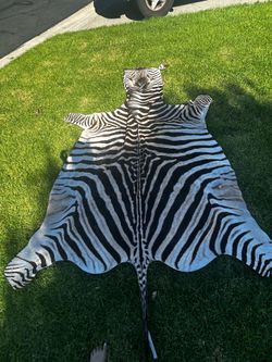 Zebra rug