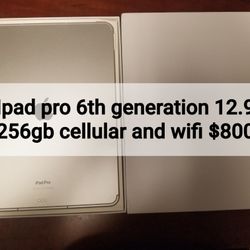 iPad Pro 6th Generation 256gb Cellular and Wifi 