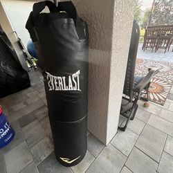 Everlast Punching Heavy Bag
