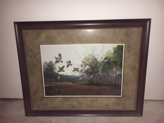 Bird picture