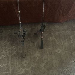 Fishing Rods 