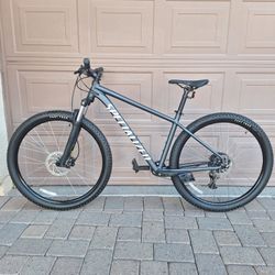 SPECIALIZED ROCKHOPPER SPORT 29 ER 1 X 9 SPEED( CHECK MY OTHER BIKES)
