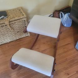 Ergonomic Chair ( New)