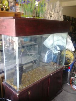 Fish tank and the stand and the top and more