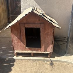 Dog House