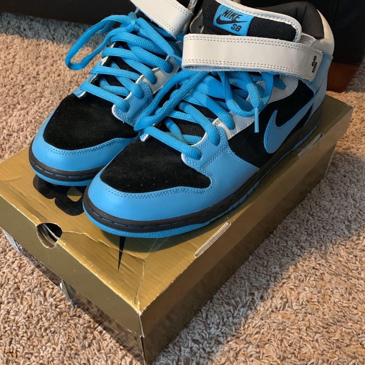 Nike SB Dunks Size 12